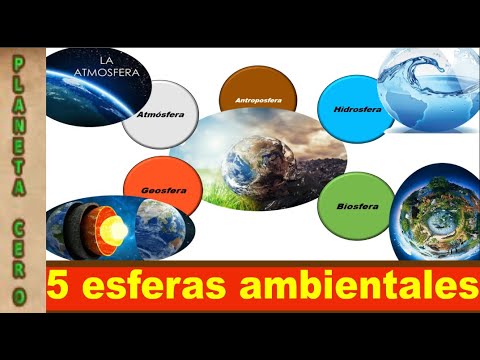 Video: ¿Cuáles son las 5 fuerzas ambientales?