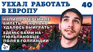 НИДЕРЛАНДЫ. СЫГРАЛ В ЛОТЕРЕЮ В ГОЛЛАНДИИ. ПОЛЯ ТЮЛЬПАНОВ. РАБОТА В ЕВРОПЕ ДЛЯ РУССКИХ