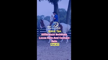 Difference Between Loose Rein And Contact Rein! Part 7! | The Horse Guru-Michael Gascon