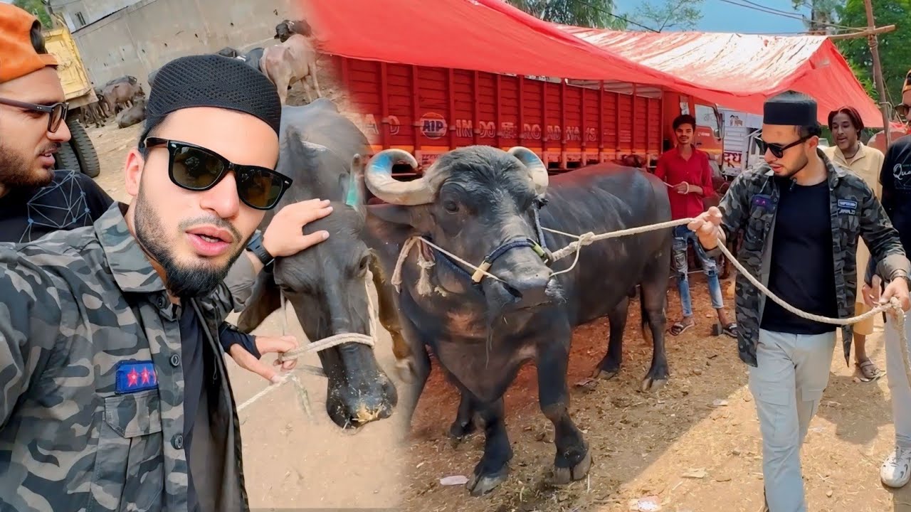 Qurbani Ka Janwar Leliya Alhamdulillah 😍 Bakra Eid Vlog | AL AAMIR KHAN