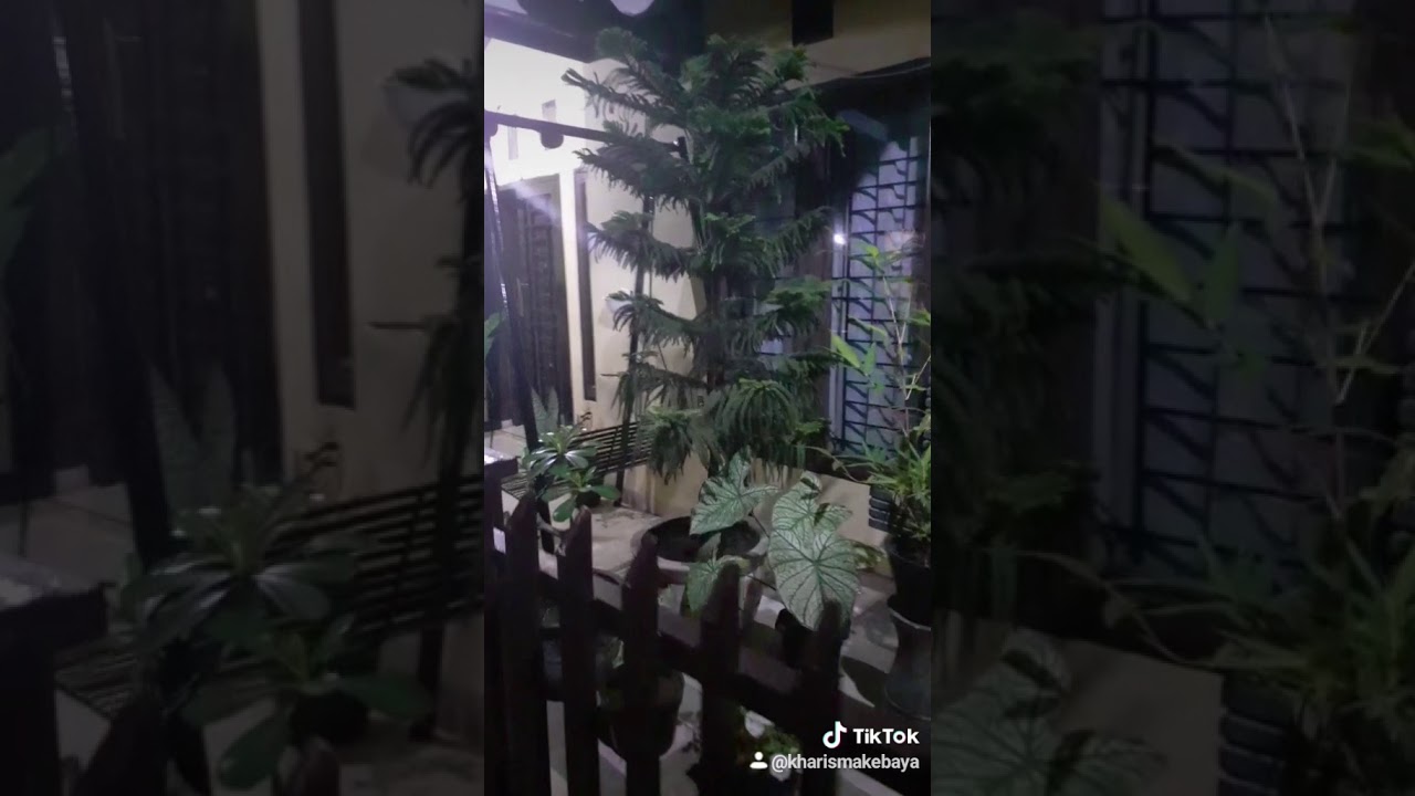 Taman rumah ku 2 - YouTube