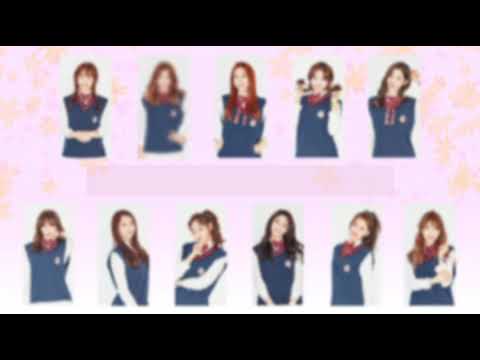 ❣열두 번째 프로젝트❣ 벚꽃이지면 - 아이오아이 (COVER)