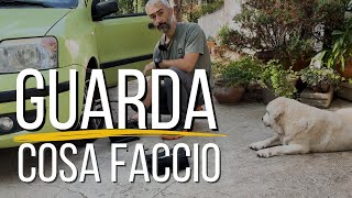 Cosa fare per calmare un cane?