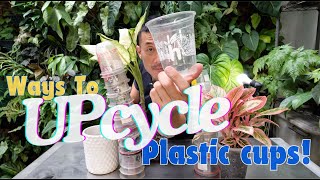 Smart Hacks For Used-Plastic Cups For Better Environment And Happy Plants