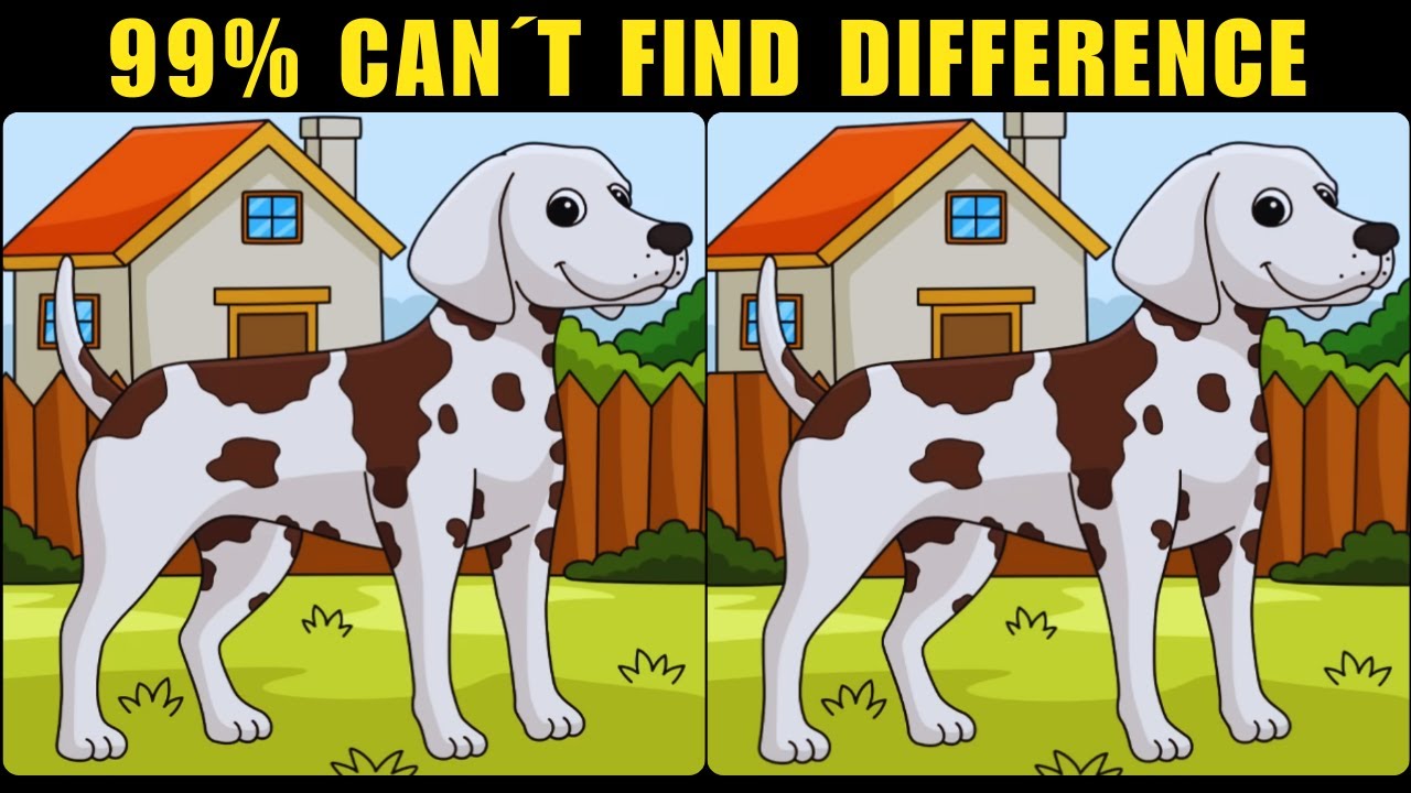 Spot The Difference : Only Genius Find Differences - YouTube