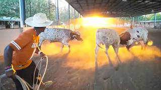iShowSpeed Spends A Day At The Ranch!
