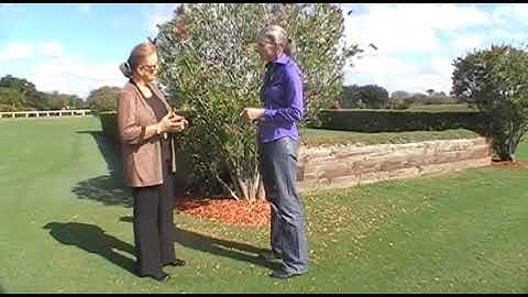 Ground Exercises to Help Your Riding