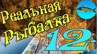 Реальная рыбалка игра на Android #12 СУДАК, САМАЯ ОПЫТНАЯ РЫБА? screenshot 5