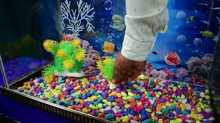 Aquarium | fish tank | decoration ideas | aquarium minecraft