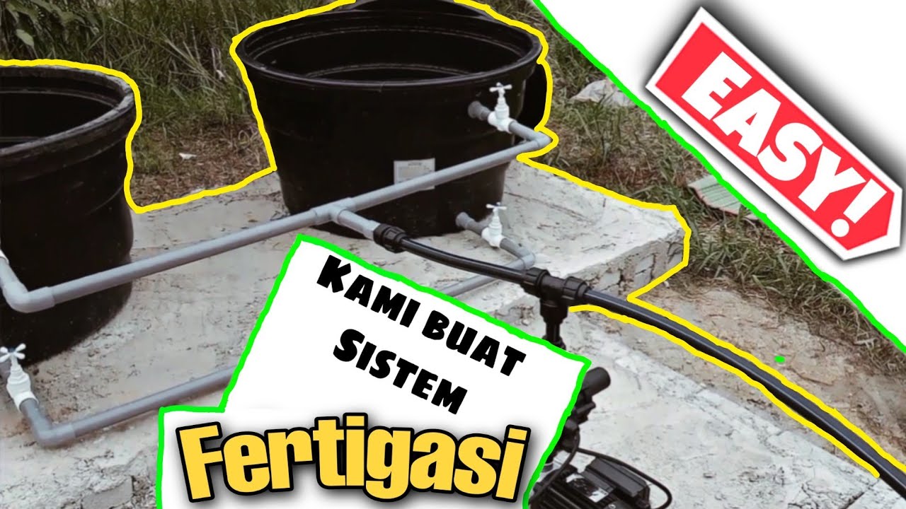 Kami Buat Sistem Fertigasi di Kebun Durian Kami !! (Senang)