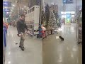 Winston and Tedi! Had such a fun field trip at Lowe's! pulling no more 😀