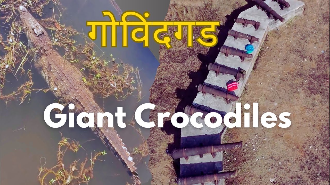 Gowalkot (Govindgad) Fort of Chiplun with Crocodiles in Lake | गोवळकोट किल्ला | गोविंदगड 🐊🫶