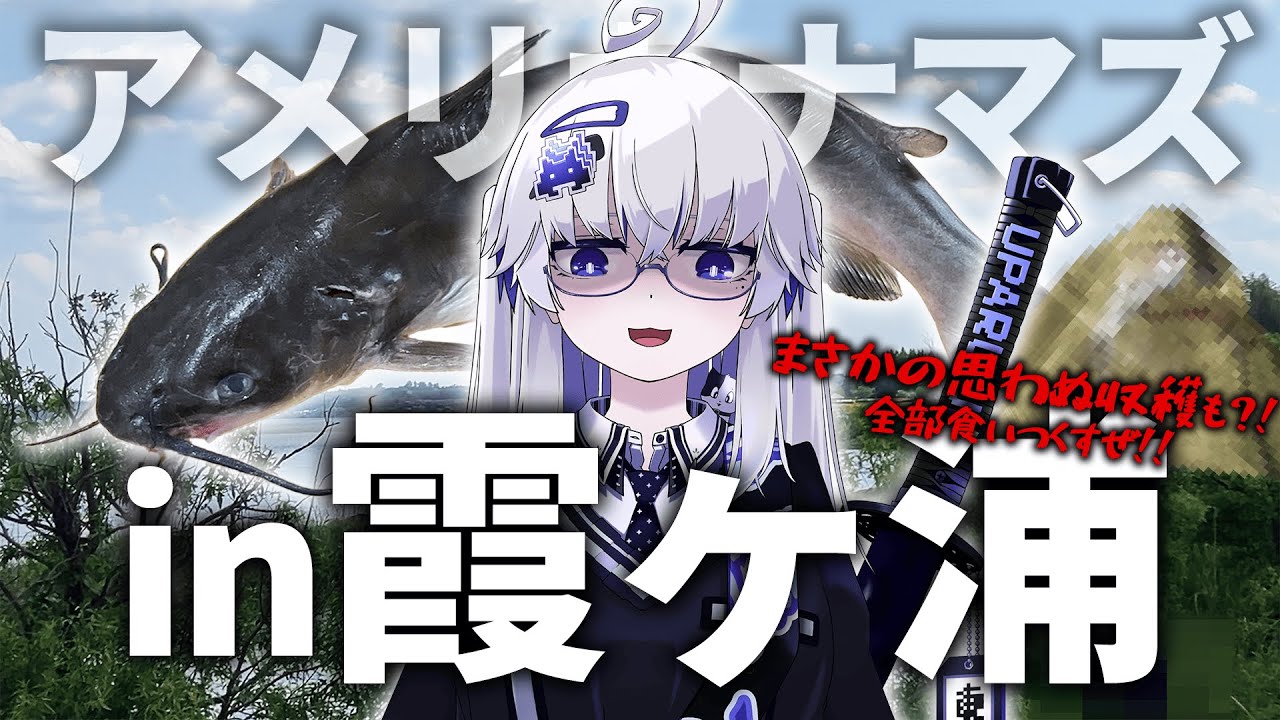 【霞ヶ浦】ｳﾊﾟﾙﾁｬﾝﾈﾙ史上最大サイズ？！思わぬ収穫から始まったアメリカナマズ釣りは必見ー！！【VEE/亞生うぱる】