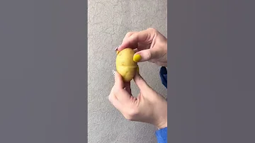 Трюк с картофелем, который должны знать все. Как проверить клубень на качество