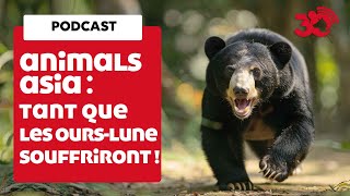 PODCAST - Des ours exploités pour leur bile en Asie by  30 Millions d'Amis 245 views 2 months ago 5 minutes, 21 seconds