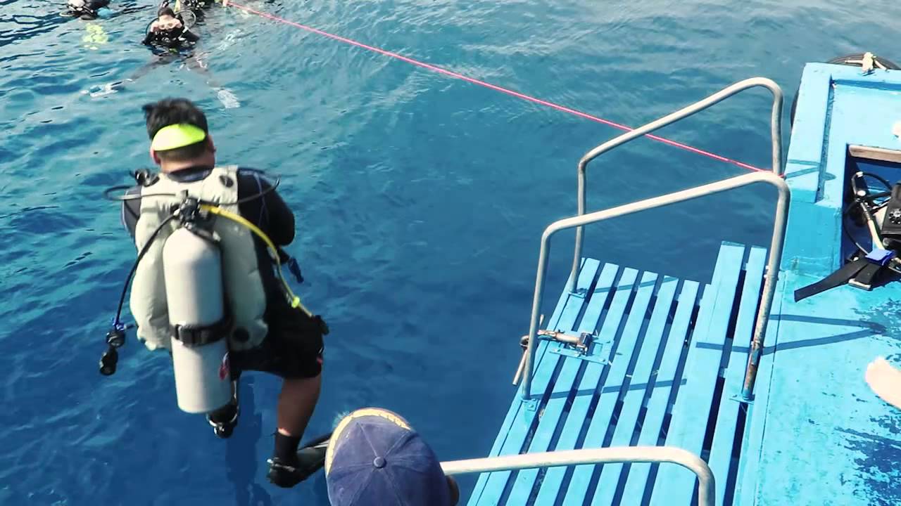 3 days in paradise~Dayang Island! Let's scuba dive!