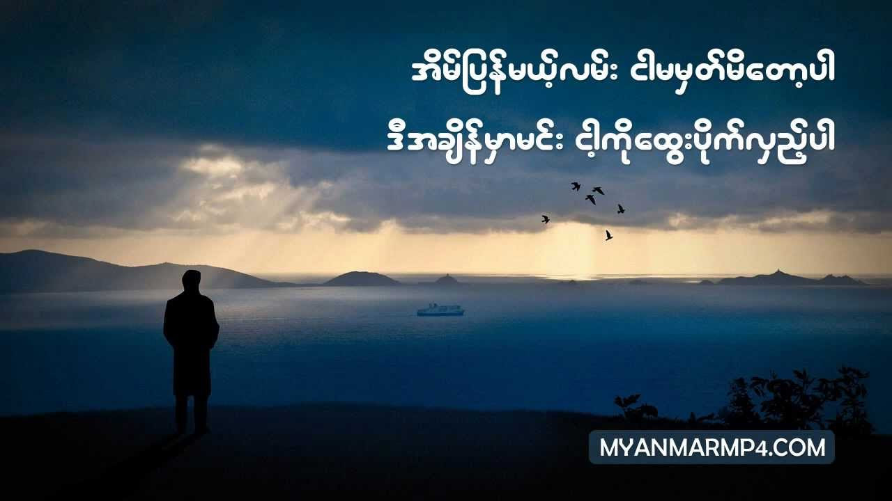 Nay Myo   Ta Nayt Nayt Myanmar MP4