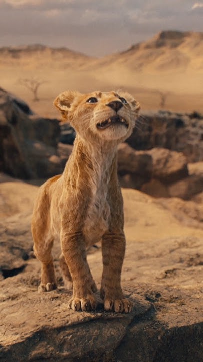 Родился лев🦁Муфаса #Муфаса #Mufasa #Мультфильм #Мультик #Кино #Фильм # ...