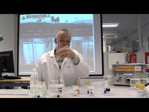 Video: Biochemische Bloedtest - Indicaties, Voorbereiding, Indicatoren
