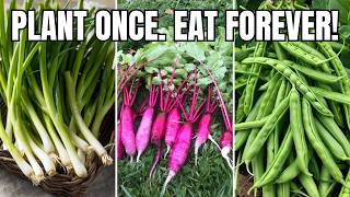 Plant These in MAY: 9 Fast-Growing Vegetables for a Full Harvest All Season