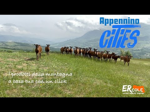 I produttori della montagna sul web: nasce Appennino Cities