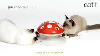 Catit - Champignon Senses by Catit en français 805 views 1 year ago 39 seconds