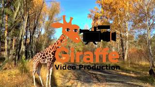 Giraffe Video Promo Reel 3