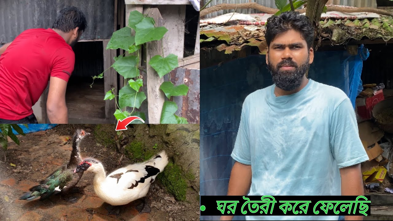 🔥 চীনা হাঁসের ঘর তৈরি করলাম নিজের হাতে”  
