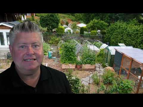Homesteading Is Quietly Becoming A Lifestyle Movement
