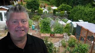 Homesteading Is Quietly Becoming A Lifestyle Movement