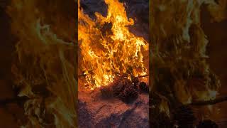 Burning bond fire #nature