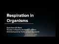 Respiration in Organisms