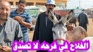 تاجر الحمير مفكرني مش هفهم في الحمير اشترى ركوب ب 3000 بس  احذر من تجار الحمير