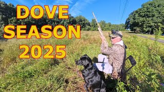 Dove Season 2025 is Finally Here