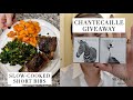 NEW Chantecaille Le Matte Stylos | GIVEAWAY [CLOSED] | What's For Dinner #mishmas2020