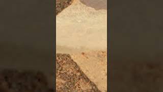 Sol 1,769: The LEFT Navcam saw a Martian trail so ancient it predates every ocean on Earth 🌊🪐