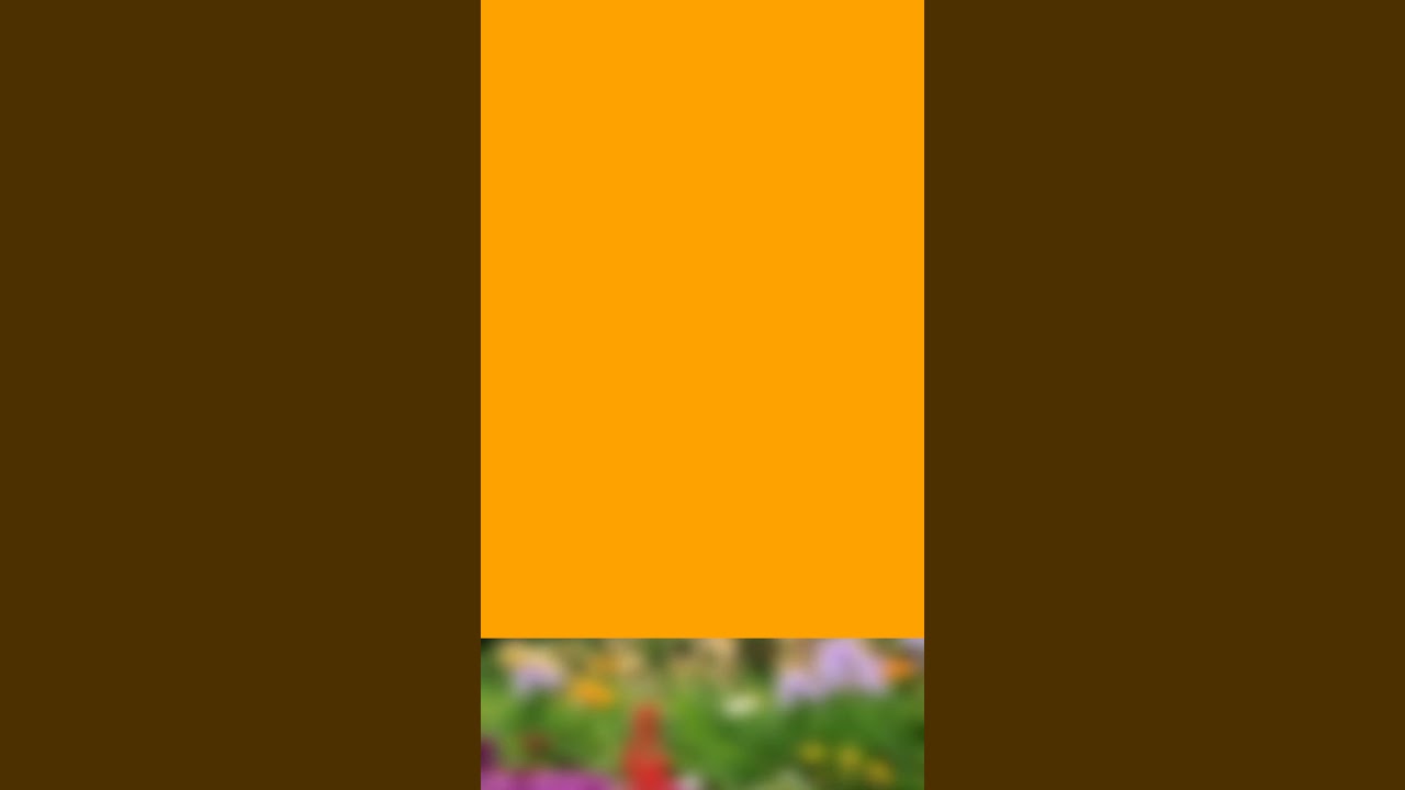 /storage/emulated/0/Root Videos/Root-300919-024452.mp4