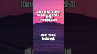 Ox or Ass as a Type of Christ #jesusintheoldtestament