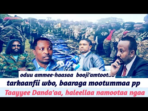 Tarkaanfii Wbo Baaraga Mootummaa Pp Taayyee Danda Aa Haleellaa Namootaa Ngaa 24 November 2025