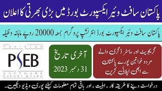 PSEB ICT Internship 2023 | today govt jobs in pakistan 2023 screenshot 5