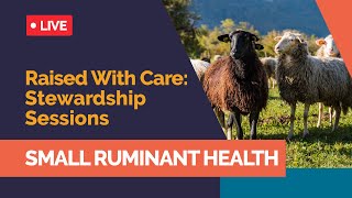 Raised With Care: Stewardship Sessions - Episode 9 - Small Ruminant Health