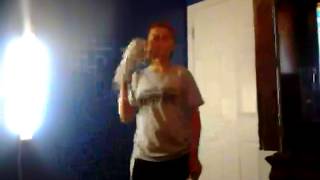 My Harlem Shake