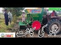 پنجاب میں آلو کی کاشت potatoes farming start in panjab Pakistan