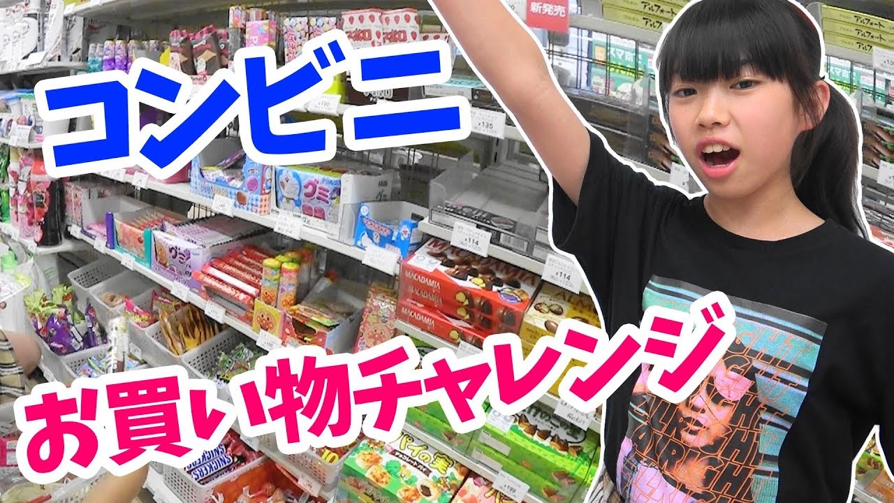 コンビニ1000円お買い物チャレンジ！！にゃーにゃちゃんねるnya-nya