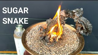 Sugar snake || Amazing science experiment with sugar || Black fire snake experiment.
