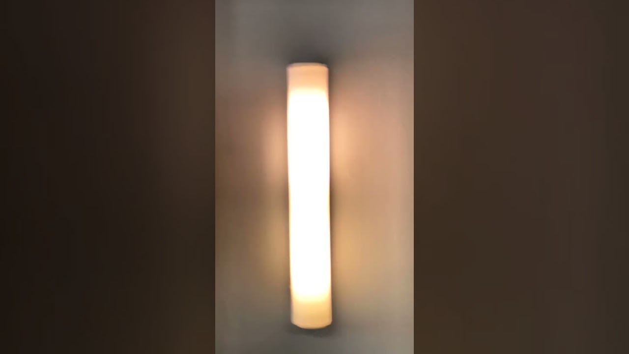 daddybear gay, oso maduro gay, gaybear 