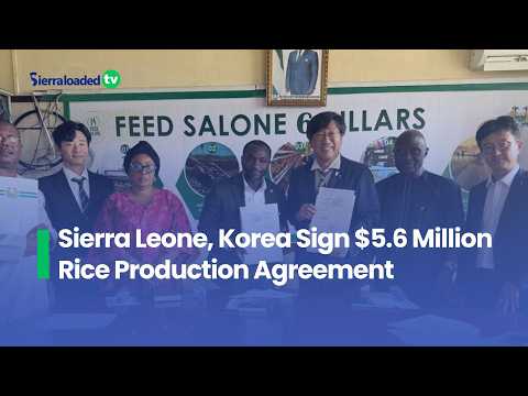 Sierra Leone, Korea Sign $5 6 Million Rice Production Agreement