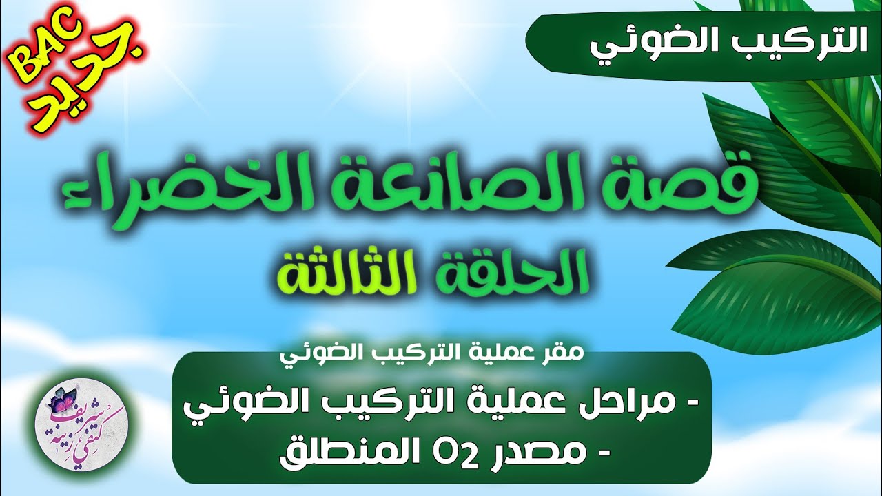 إلى أين🫢؟ الحلقة 3 من التركيب الضوئي🔥تدريب على المنهجية من الصفر✈️بكالوريا