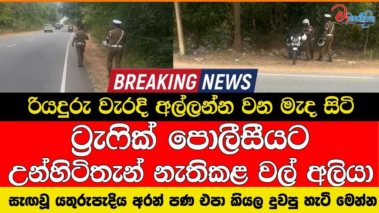 වැරදි අල්ලන්න වනමැදසිටි මාතලේ ට්‍රැෆික් පොලීසීයට උන්හිටිතැන් නැතිකළ වල්අලියා පණඑපා කියලදුවපු පොලීසිය