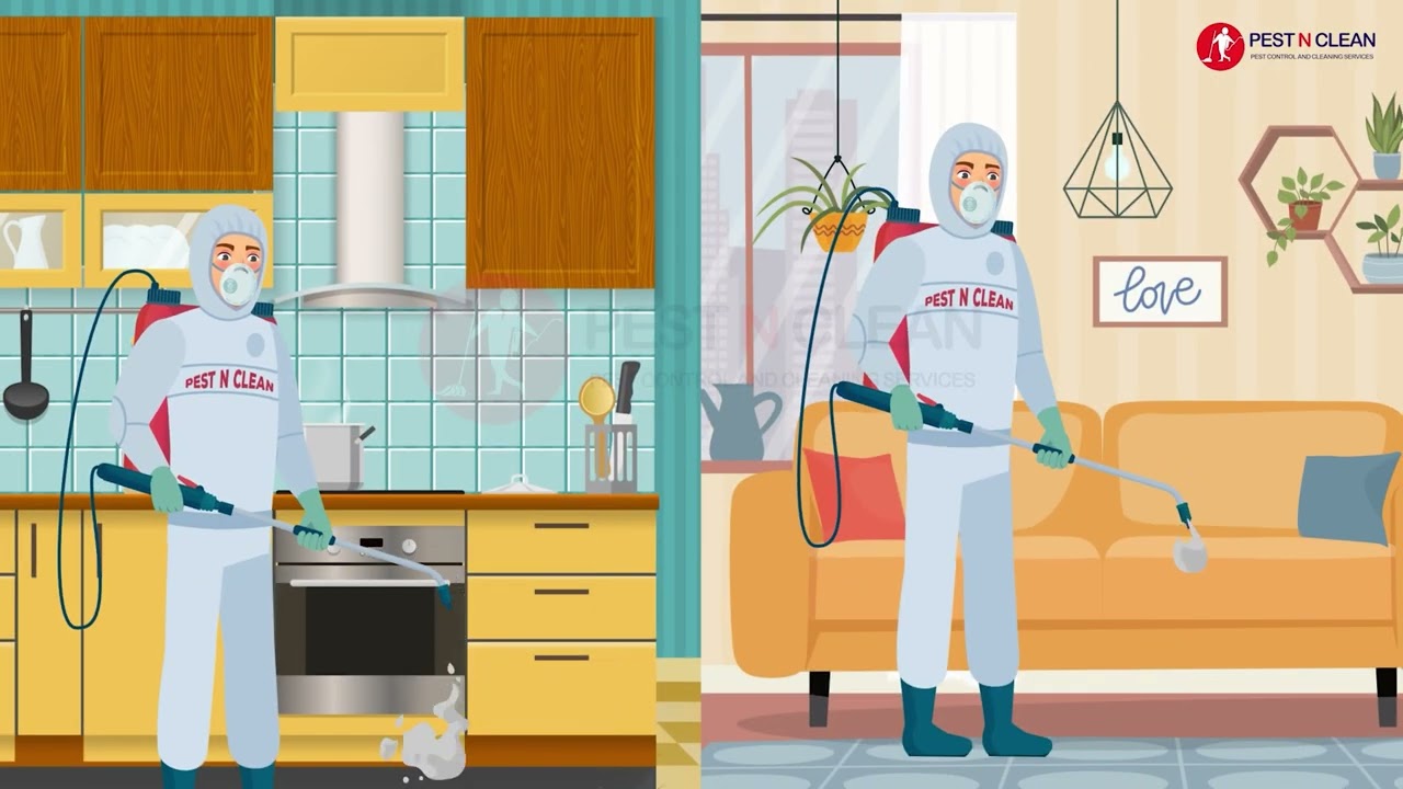 Pest N Clean Pest Control and Cleaning Services YouTube